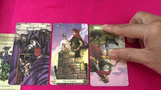 Ai đang muốn có được Bạn-Sự thật về con người Họ thế nào-Phương Nga Tarot