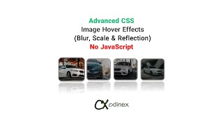 Advanced CSS Image Hover Effects (Blur, Scale & Reflection) | No JavaScript
