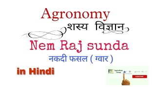 ग्वार || Agronomy || Nem Raj Sunda || by Shobhit Sir