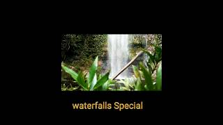 Waterfalls Special Shorts 3