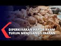 Harga Daging Ayam Mulai Turun, Diperkiran Akan Naik Lagi Saat Lebaran