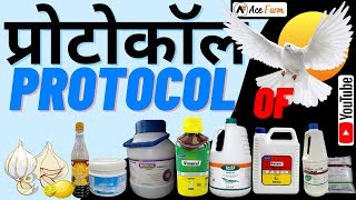 Suppliments ka Protocol /सप्लीमेंट्स इस्तेमाल कैसे करें /Suppliments Protocol