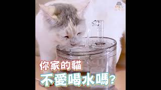 【愛上喝水的貓咪】透明飲水盒 水龍頭款