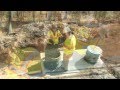 septic tank maintenance