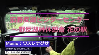 (MV)ワスレナグサ 野反湖畔道ドライブ動画