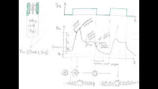 L0429b Hydraulic fractures in well testing