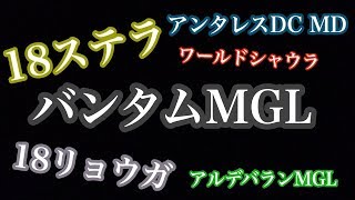 18ステラ、バンタムMGLという怪物リールについて・・【シマノ、ダイワ2018新製品を語ろうぜ！】