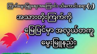 ကြက်မွေးမြူရေးအကြောင်းသိကောင်းစရာ(၇)အသားတိုးကြက်ကိုမြေပြင်မှာမွေးမြူခြင်း