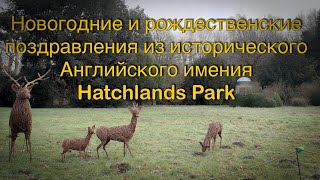 Vlog 530 - Пожелания, планы, прогулка в Hatchlands  Park и легенда о тюльпанах