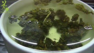 【台灣茶路】大茶農時代~2016伍家田春茶試泡