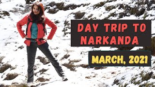 Shimla to Narkanda | Narkanda \u0026 Hatu Tour Plan | Narkanda Tour Guide | Narkanda Budget, Mar 2021