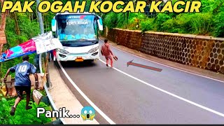 PAK OGAH PANIK!!Bus Ketenggak Di Tengah tanjakan//padahal sudah GIGIK rendah