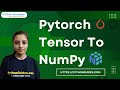 How to convert PyTorch Tensor to Numpy | PyTorch Tensor to NumPy