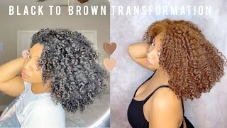 How To Dye Your Hair Light Brown| Textures & Tones Light Golden Brown