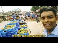 আজকের আমের দাম ll today mango price ll পাইকারি আম বাজার ll mejan express