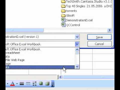 Microsoft Office Excel 2003 Create a workbook template Microsoft Office Excel 2003 Create a workbook template