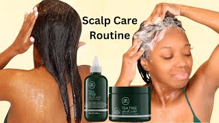 Have A Dry Scalp? You Need Tea Tree Special Scalp Detox