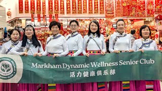 2025 Markham Temple Fair - 2025 万锦庙会