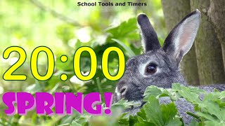 20 Minute Countdown Timer - Springtime Rabbit! 🐰