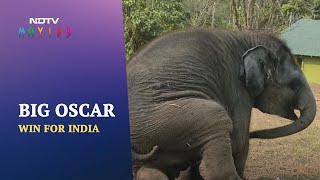 Oscars 2023: India's 'The Elephant Whisperers' Wins Best Documentary Short Subject