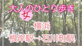 【大人のひとり歩き】神奈川 横浜 : 自然と異国情緒溢れる裏横浜(根岸駅から石川町駅) 根岸八幡神社と根岸森林公園 3 hours stroll in Yokohama- Negishi