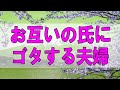 テレフォン人生相談 ***  お互いの氏にこだわりゴタゴタする夫婦!今井通子＆坂井眞!