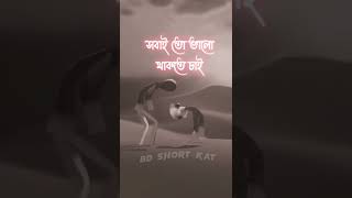 Bangla Sad Shayari | Sad love story | Bengali Sad Status Video | Best Romantic Love Whatsapp Status