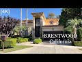 BRENTWOOD Los Angeles California - driving tour [4K]