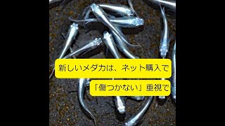 幹之（みゆき）メダカの稚魚が、元気(^^) ：「大丈夫だよブログ メダカが傷つかない」で、本記事にたどり着けます。