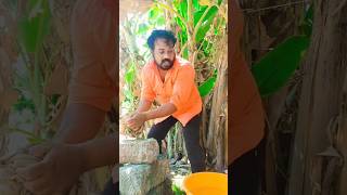 അച്ഛനും മോളും #comedy #youtubeshorts #shortvideos #trending