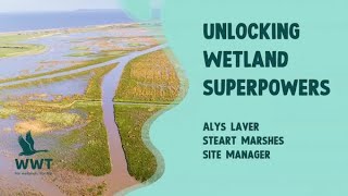 Alys Laver - Wetland Superpowers