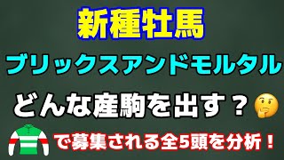 【種牡馬分析】ブリックスアンドモルタルを血統から分析‼️ついでにキャロットで募集されてる5頭の産駒を血統分析😆