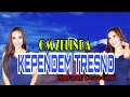 KEPENDEM TRESNO // LINTANG // TERBARU OM ZELINDA LIVE ALUN ALUN SUKOHARJO