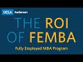 The ROI of FEMBA