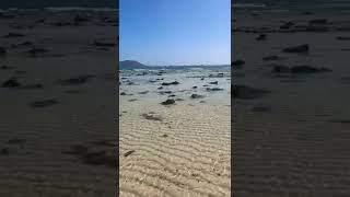 Corralejo beach Fuerteventura #shorts #beach #paradise