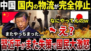 【ゆっくり解説】なぜ中国は習近平の失策で国内の物流が完全に停止し国民が大激怒することになってしまったのか？