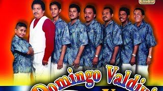 Domingo Valdivia y Compañia - Mi Amor y Tu Recuerdo