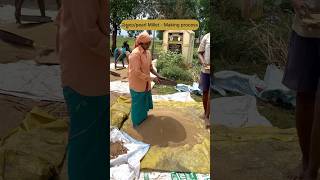 సజ్జల / Pearl millet making process               #food #vizag #trending #youtube #food #foodie