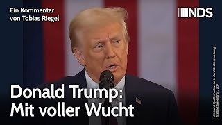 Donald Trump: Mit voller Wucht | Tobias Riegel | NDS