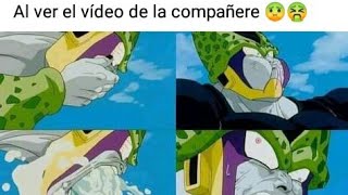 Memes vídeo filtrado de la compañere