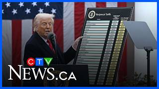 ‘It’s all malarkey, but it’s the game they’re going to play’: Mulcair on Trump’s new tariffs