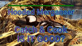 Hooded Merganser Catch and Cook!