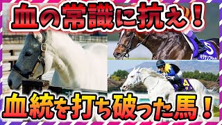 【ウマ娘 競馬】価値観を破壊した⁉これまでの血統の常識を覆した奇跡の馬5選 ！ワイが殻を破ったる！【ゆっくり解説】