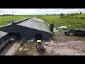 cleaning out the calf shed