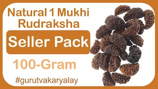 Natural 1 Mukhi Rudraksha | Ek Mukhi Rudraksha | One Mukhi 100 Gram Seller Pack  १ एक मुखी रुद्राक्ष