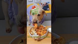 Big Dog Loves Food Too Much! #shortvideo #shortsvideo #shorts #short #shortsfeed #shortsviral #cute