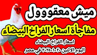 اسعار الفراخ البيضاء اليوم/ سعر الفراخ البيضاء اليوم الاثنين ٢٠-١-٢٠٢٥ في مصر جمله وقطاعي