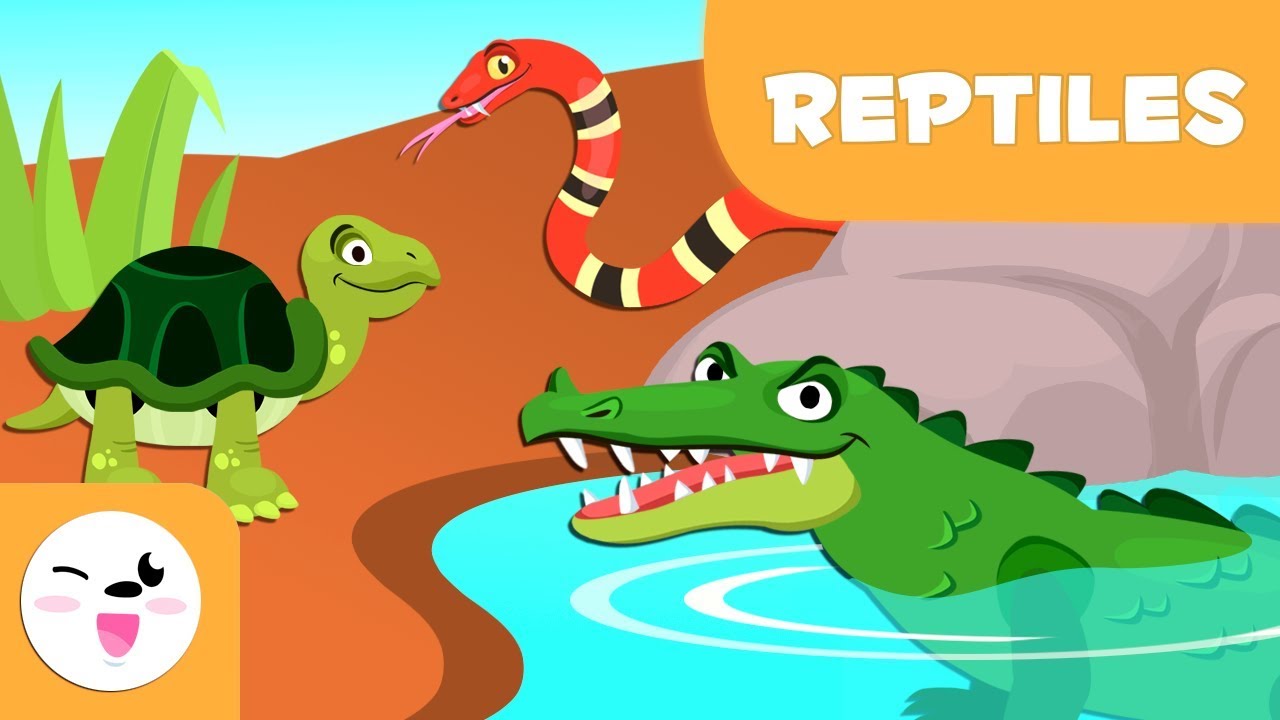 Reptiles For Kids - Vertebrate Animals - Natural Science For Kids - YouTube