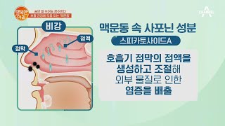 호흡기 건강 지키려면, 인삼에 있는 사포닌 함유된 '맥문동' 하세요~ | 행복한 아침 533 회