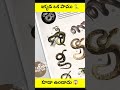 ఇక్కడ ఒక పాము 🐍 కూడా ఉండాదు 😱 snakes in the arctic  a rare sight factszonetelugu shorts